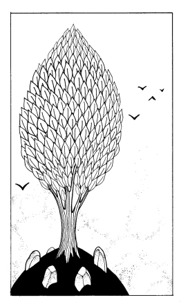 Illustration by Greg Lawhun, 2025.